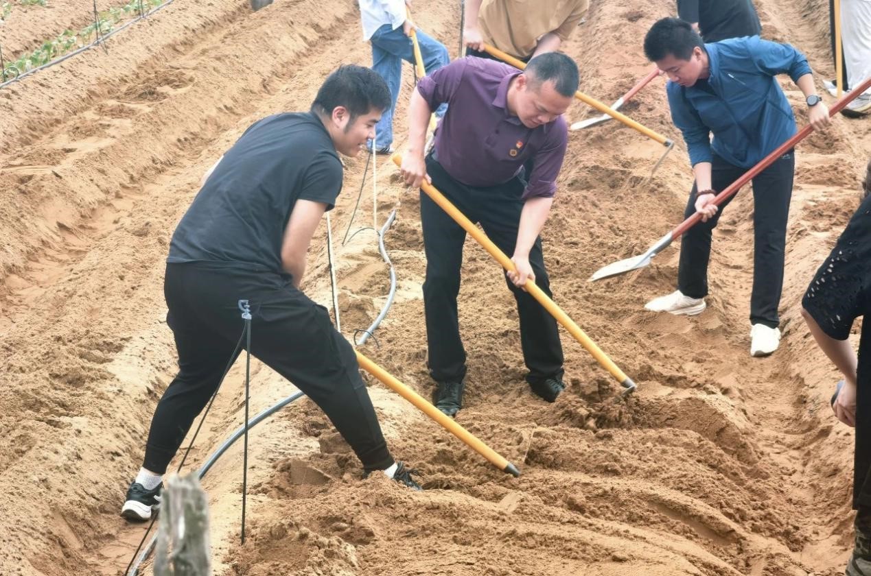 图片9.jpg